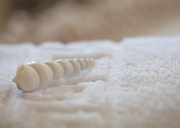 Semesterbostad Pserimos Pserimos Town