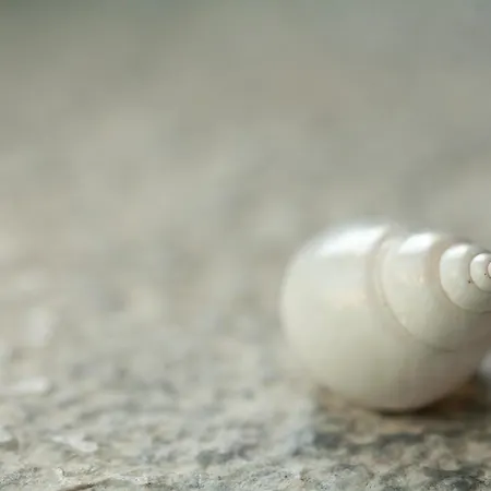 Pserimos Pserimos Town