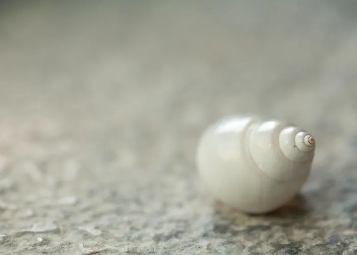 Pserimos Pserimos Town